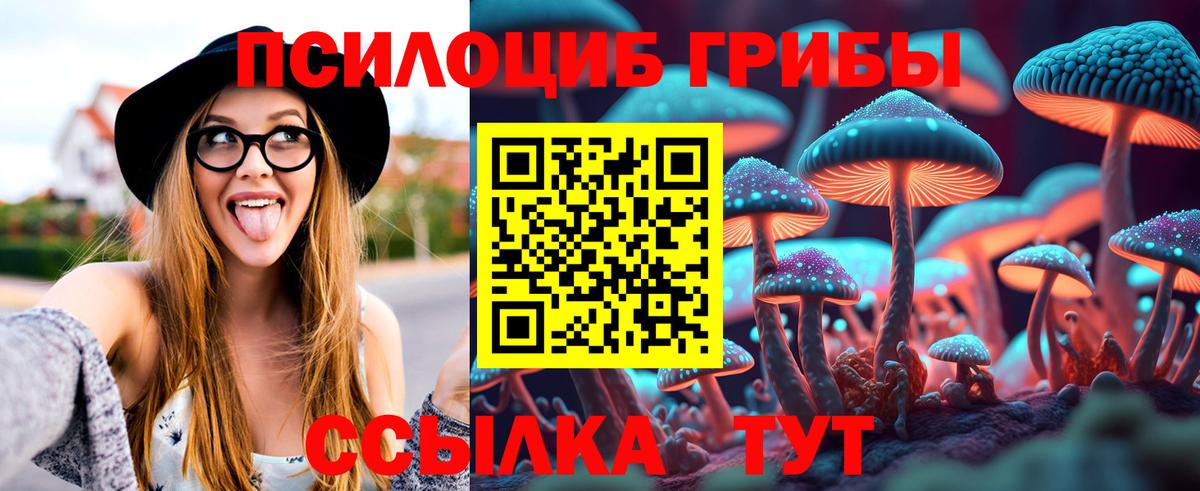 Азов  Галлюциногенные грибы Psilocybine cubensis  Псилоцибиновые грибы GOLDEN TEACHER  Вход с VPN 